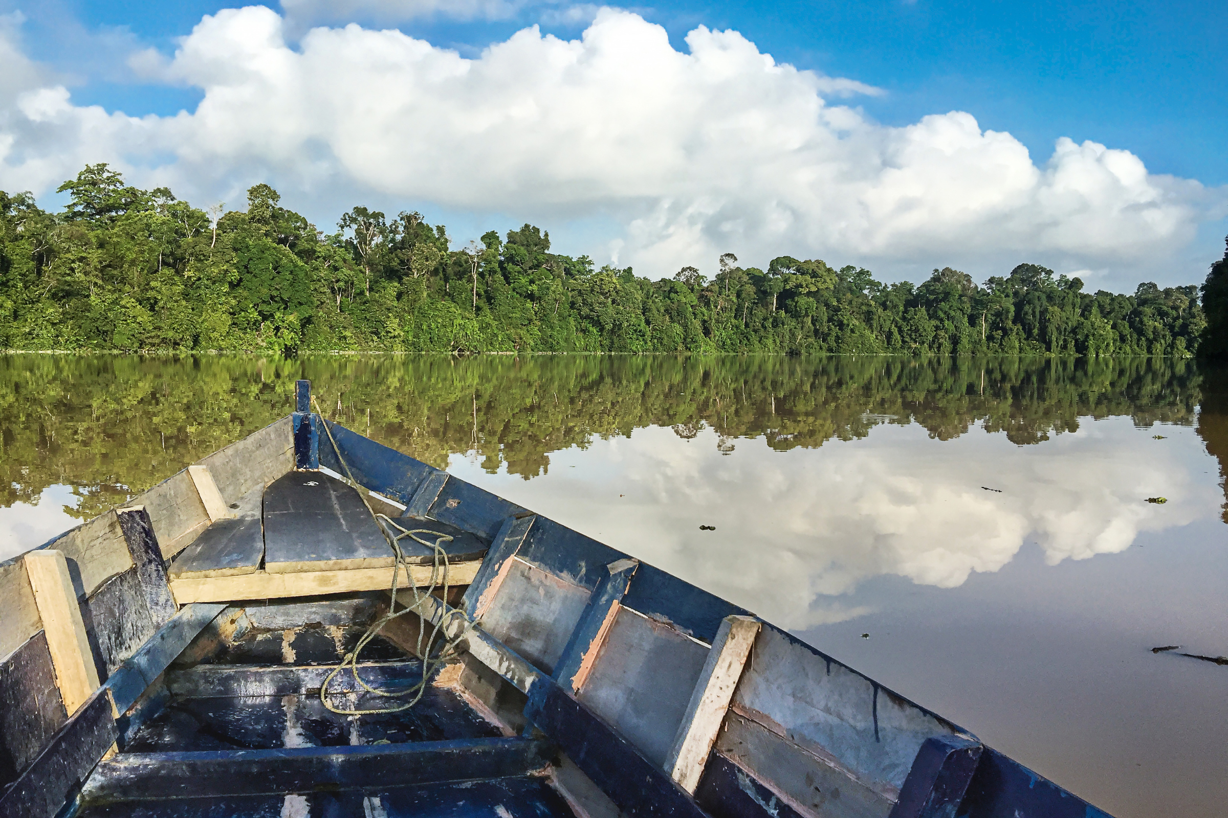kinabatangan (2).webp